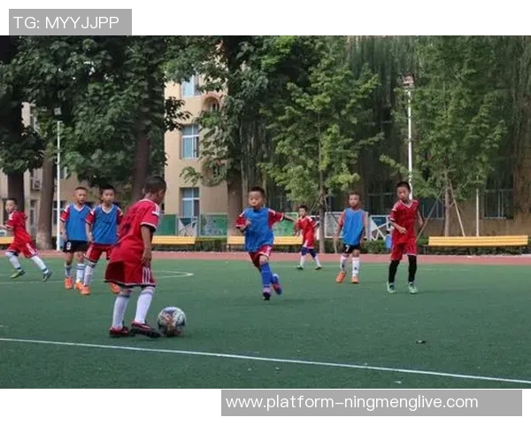 青岛拜仁足球学校培养未来足球明星助力青少年成长与发展